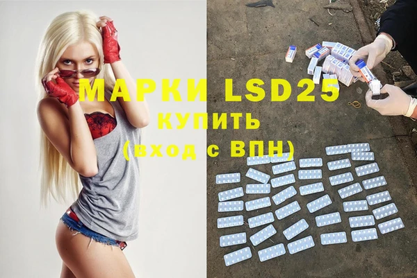 молекула духа Осташков