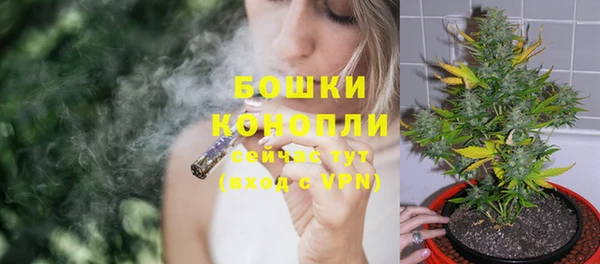 амф Аркадак